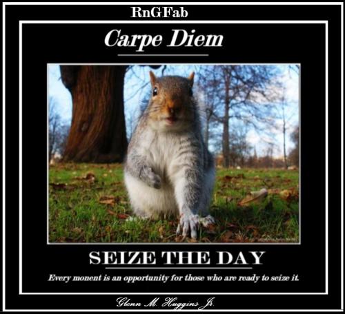 seize-the-squirelly-day