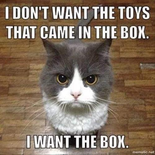 FB_IMG_1693713117778