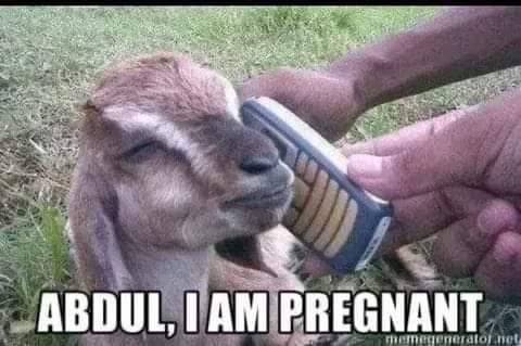 FB_IMG_1694999799892