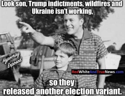 FB_IMG_1694000503303