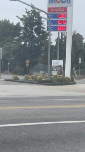 FB_IMG_1694952381565