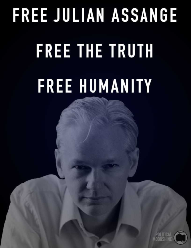Assange 1