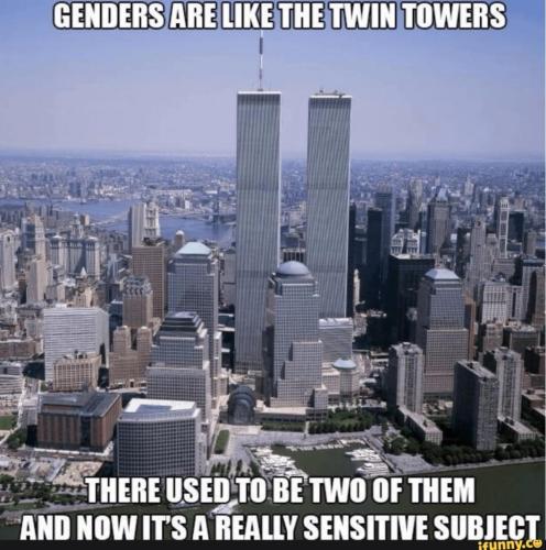 75c783fb-13af-486c-b56f-2f03788039c1