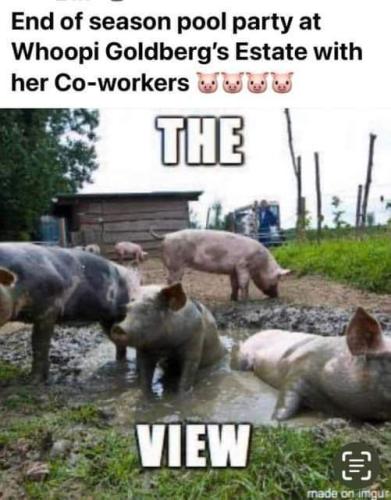 FB_IMG_1694634941521