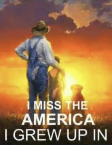 d9af8edf-dbd0-4c69-9c14-20fcb1121417