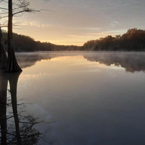 72dfc578-ebc0-4c6a-8a12-6ac2ca522991