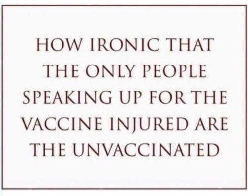 FB_IMG_1695734823053