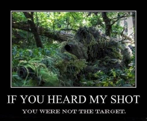 heard_shot_not_target