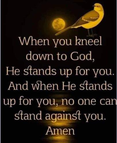 Screenshot_20230916_111038_Chrome