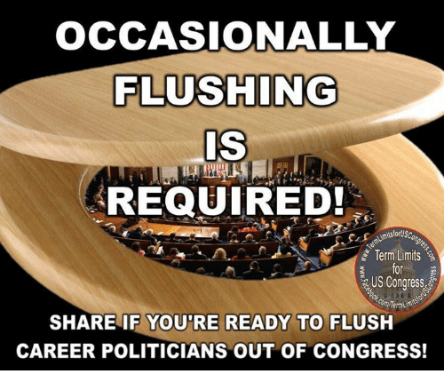 occasionally_flushing_term_limits