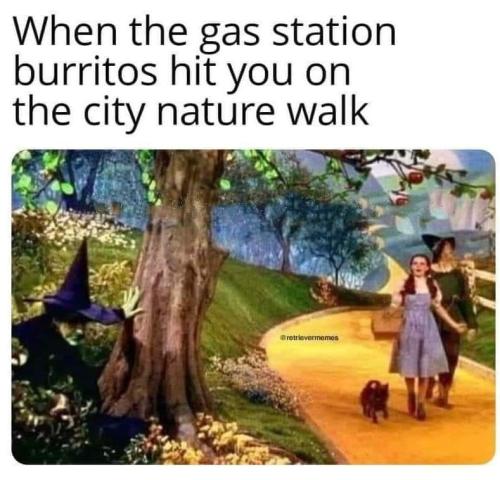 FB_IMG_1695018262292