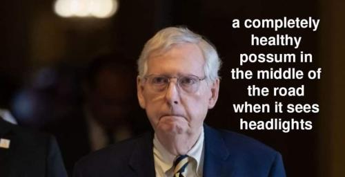 FB_IMG_1693513720073