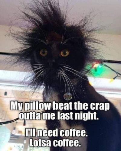 375745944_7184150308281885_6878082042425009635_n