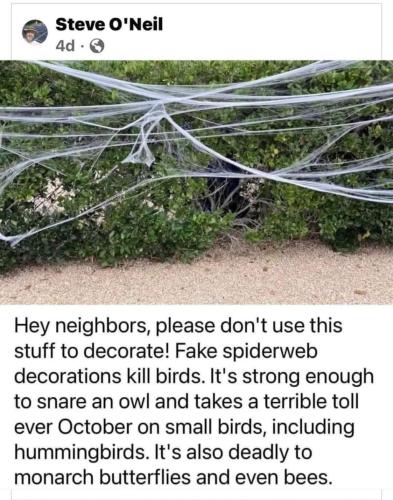 152E0BD7-BEA0-466D-B52A-4218B49596DA