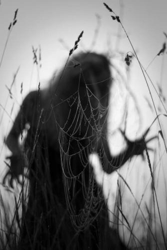 tumblr_e82dce7b9804161a3a247a45f376b128_5dca70d7_500