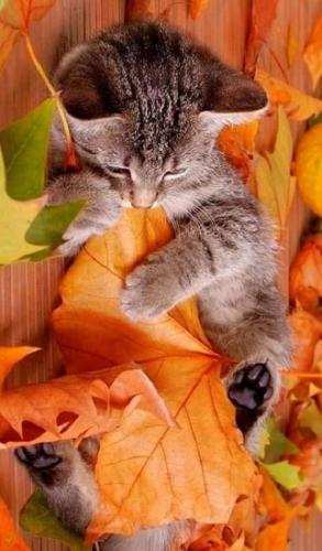 FB_IMG_1695025551906