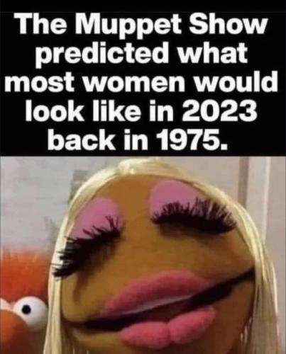 muppet show