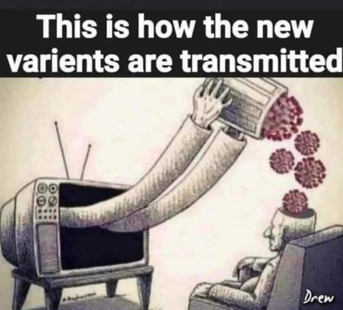 FB_IMG_1694307906080