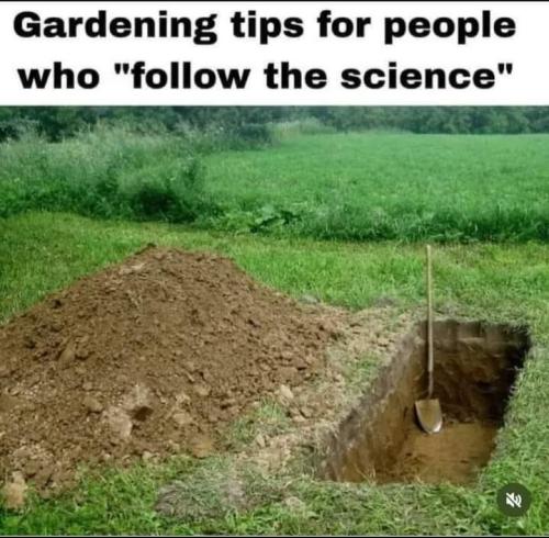 FB_IMG_1694338577075