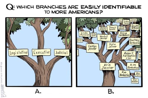 branches
