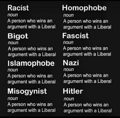 argument with a liberal