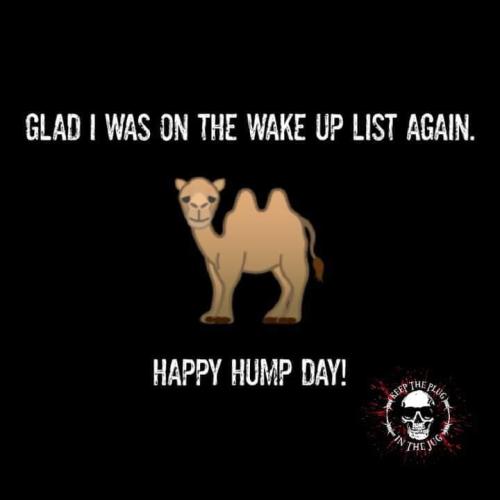 FB_IMG_1695124309965