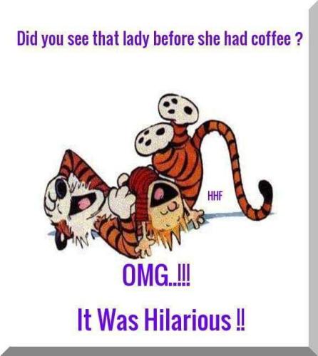 FB_IMG_1695120099854
