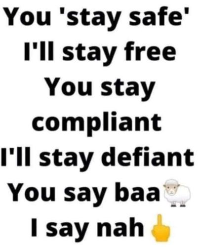 FB_IMG_1693704582935