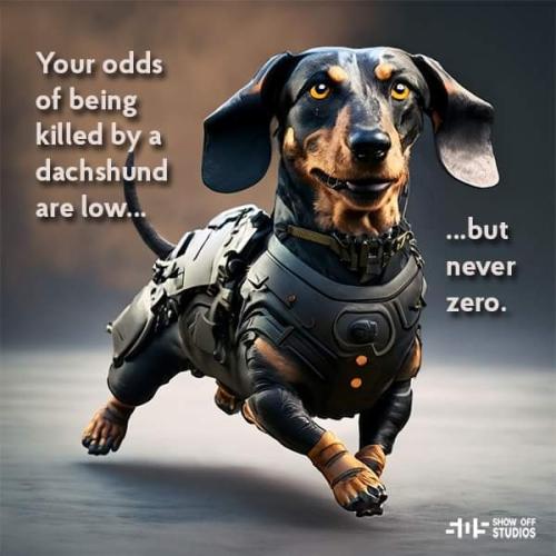 FB_IMG_1695336210655