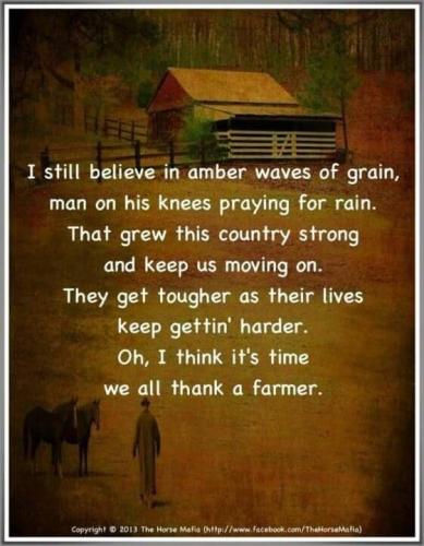 FB_IMG_1694339288689