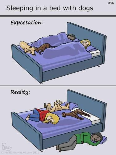 FB_IMG_1695376072081