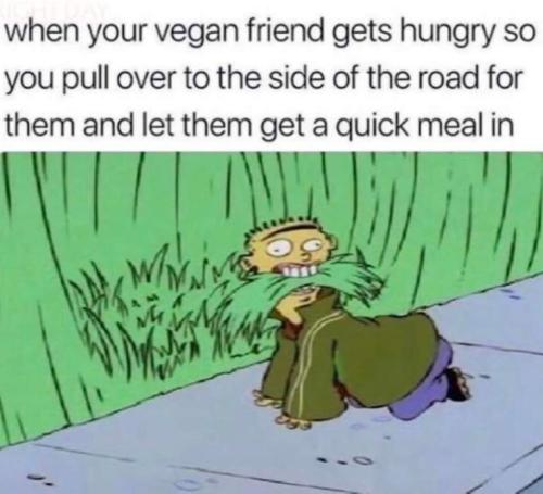 vegan snack