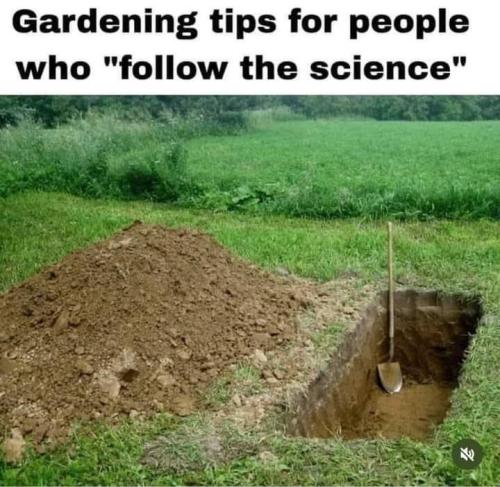 FB_IMG_1694649202642