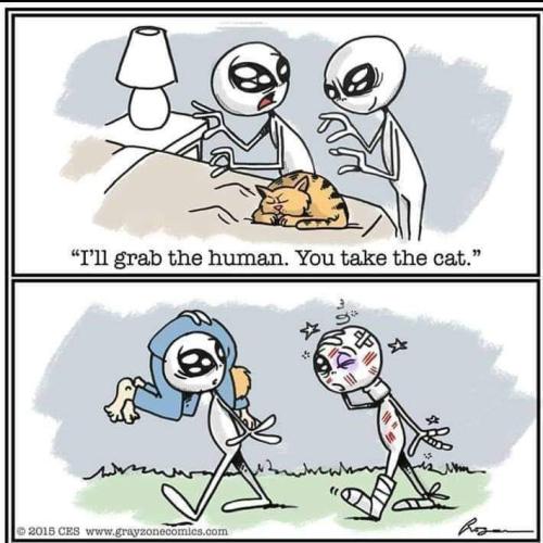 FB_IMG_1693765145306