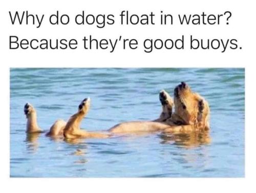 FB_IMG_1694465716176