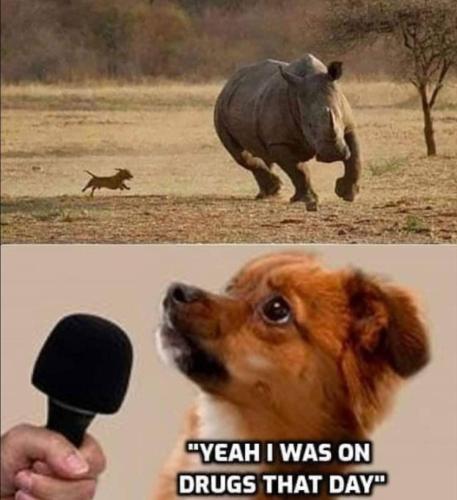 Screenshot_20230907_081858_Photos