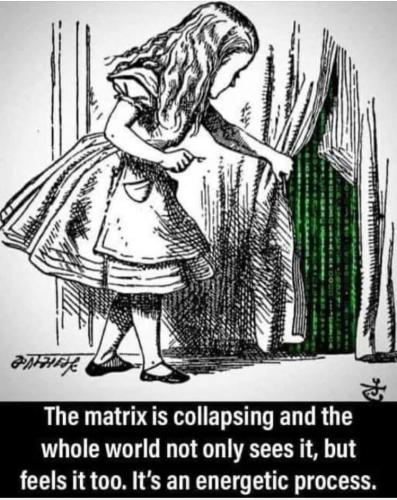 FB_IMG_1694971941383