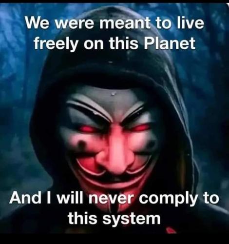 FB_IMG_1693953519117