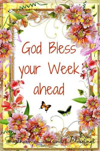 FB_IMG_1695041252712