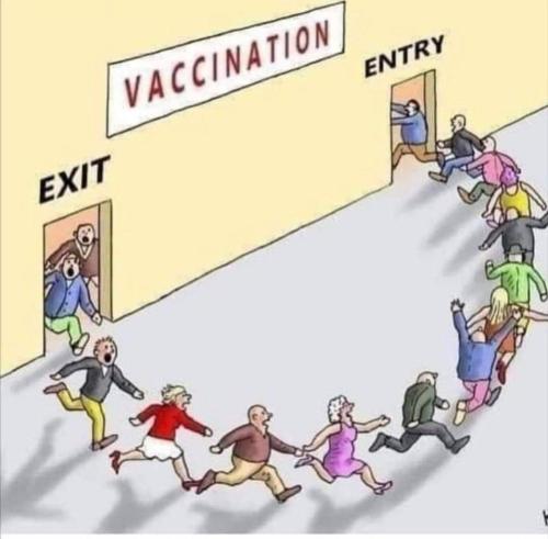 vaxx merry go round