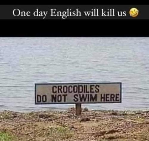 FB_IMG_1695105190898
