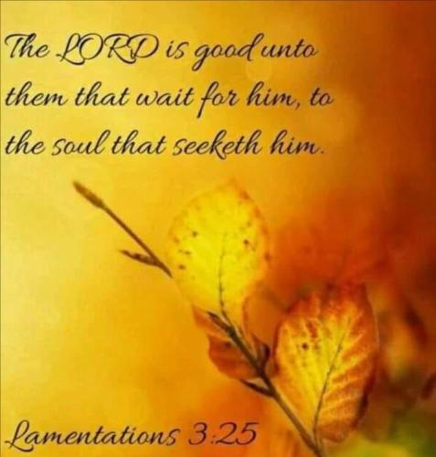 07d96ced-74e3-42d9-828a-a25cb67172d0