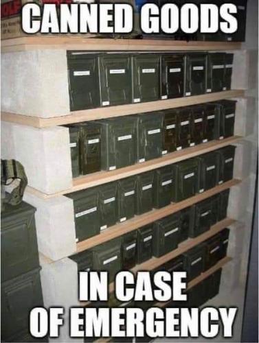 FB_IMG_1694312411104