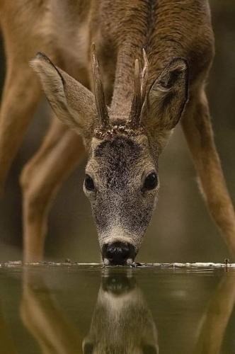 FB_IMG_1694122163712