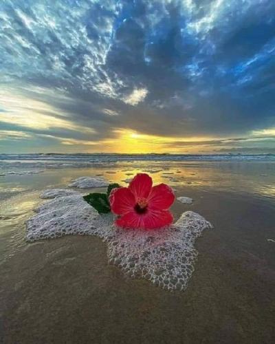 FB_IMG_1695120652008