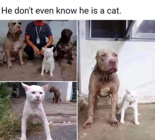 FB_IMG_1694563286278