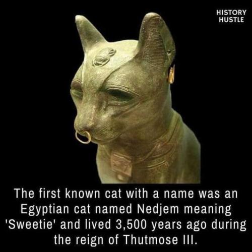 FB_IMG_1694047295541