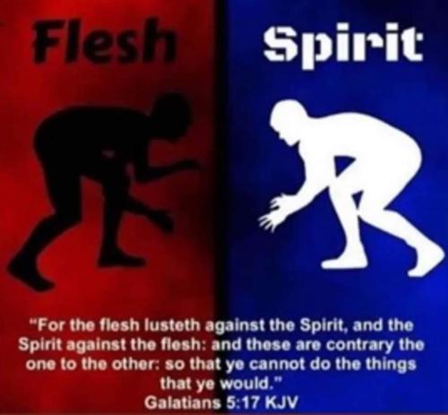 5d625c31-e35c-42c2-99e4-373182833f15