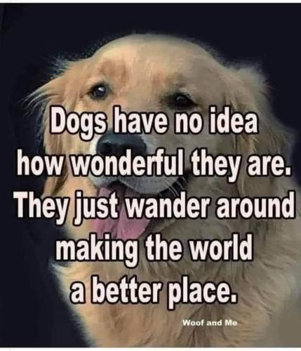 FB_IMG_1695691484121