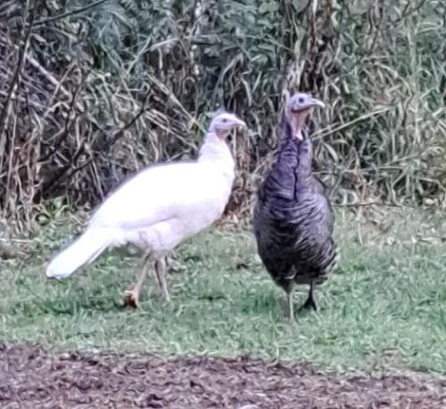 00000000000000000000000000000000000000000000000000000000000000000000000000000000000000000000000000000000000000000000000000000000000000000000000000000000000000000000000000000000000000000000000000000000000mkjhbv